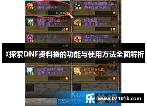 《探索DNF资料袋的功能与使用方法全面解析》